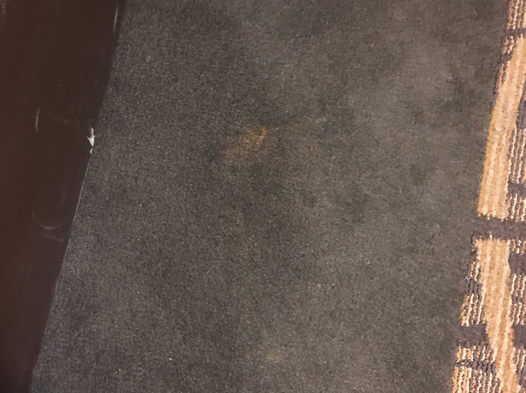 Sleep Inn & Suites Jasper I-22主图