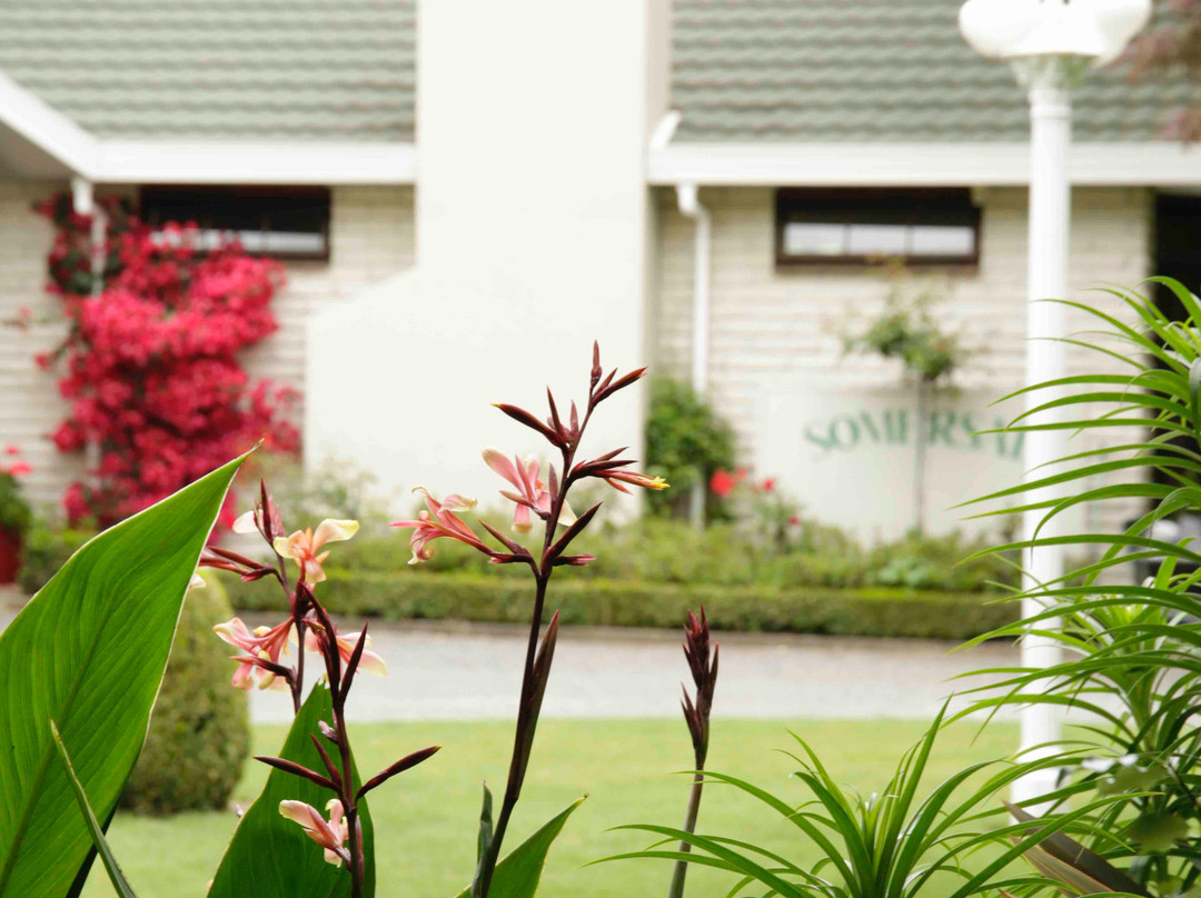 Somersal Bed & Breakfast / Wedding Venue主图