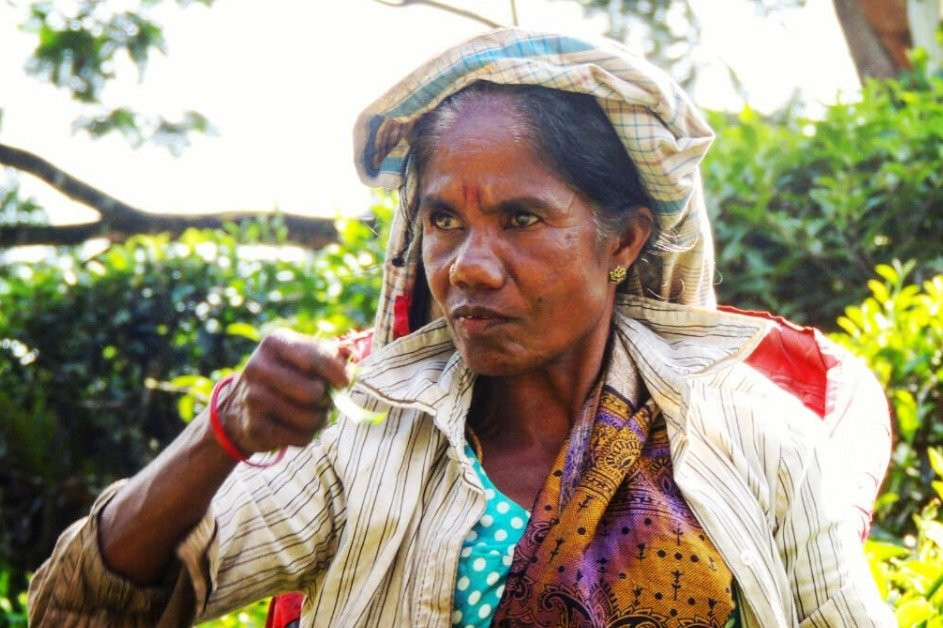 Travmo Tours-伦敦必去景点