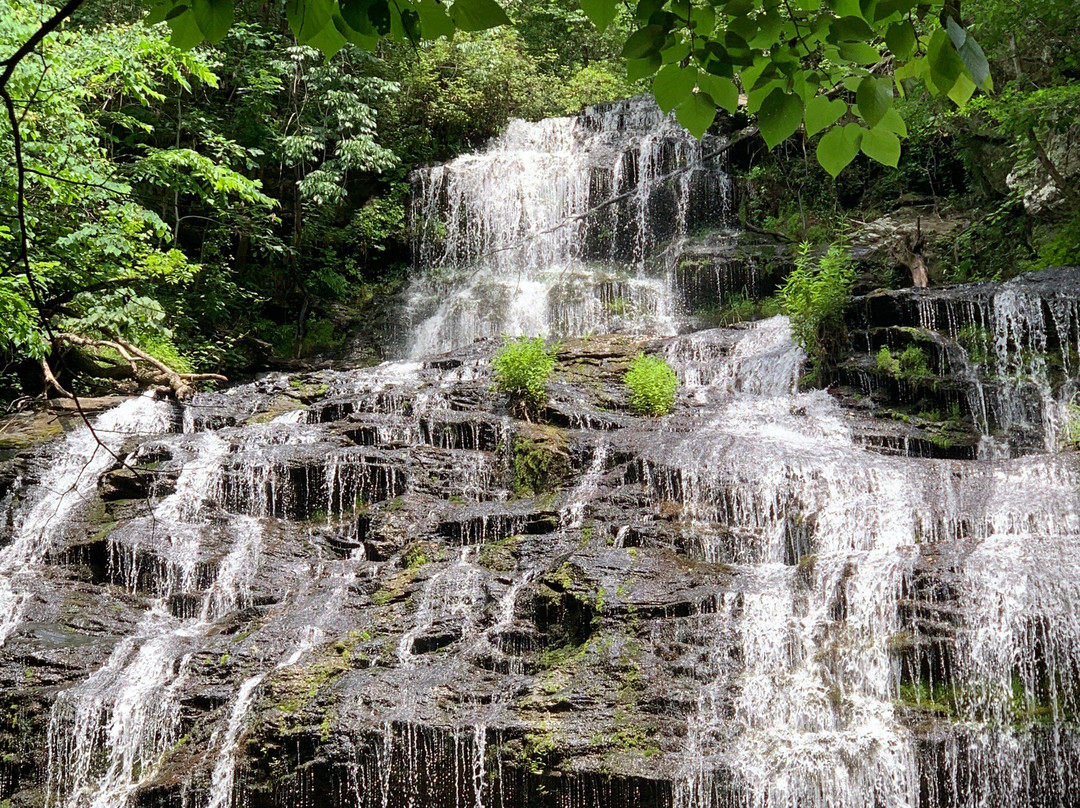 Oconee Station State Historic Site景点图片