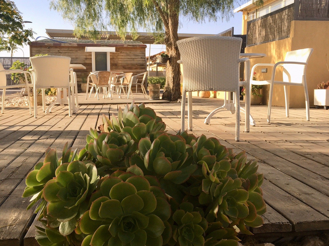 iBex (iBike) Unique Desert Inn主图