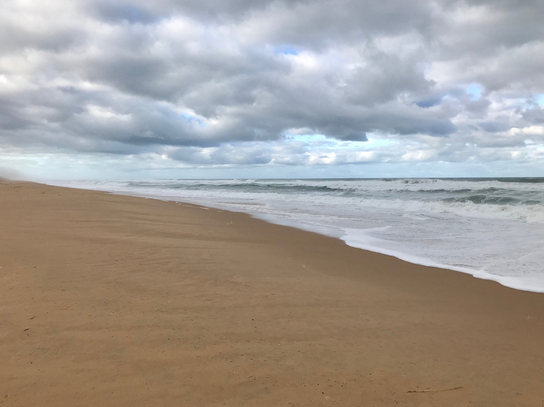 Trinculo Shipwreck-Golden Beach必去景点