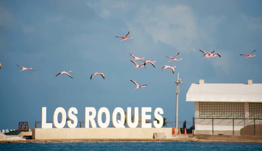 Oceanica Los Roques景点图片