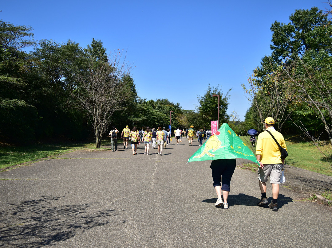Showa Denko Dome Oita-大分市必去景点