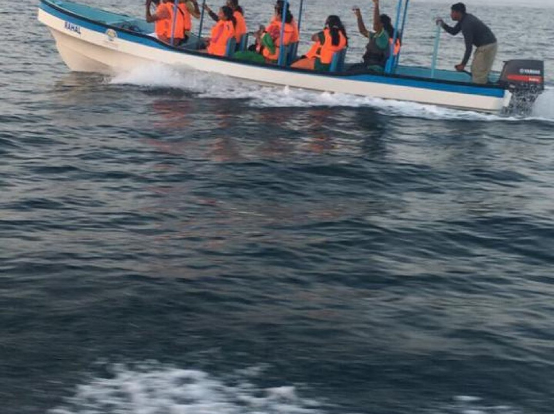 Turtle Guest House主图