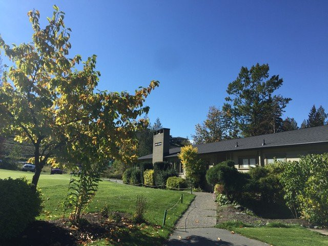 The Falls Golf Club景点图片