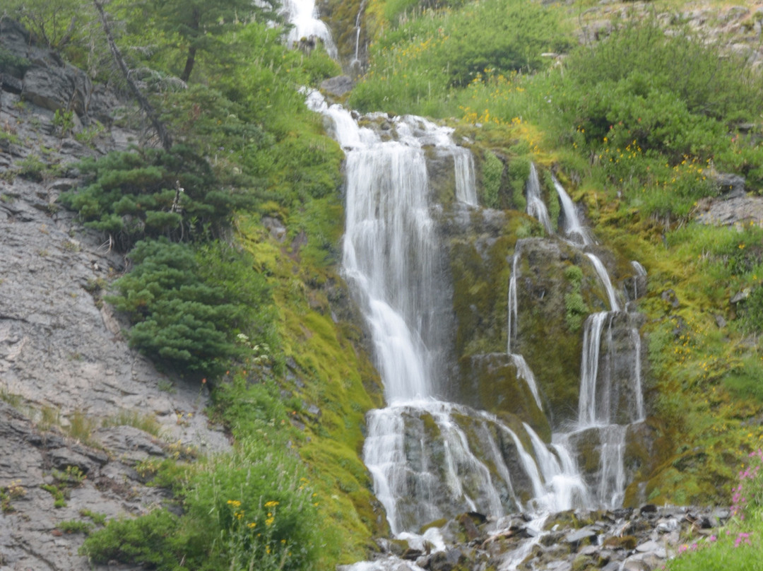 Vidae Falls景点图片