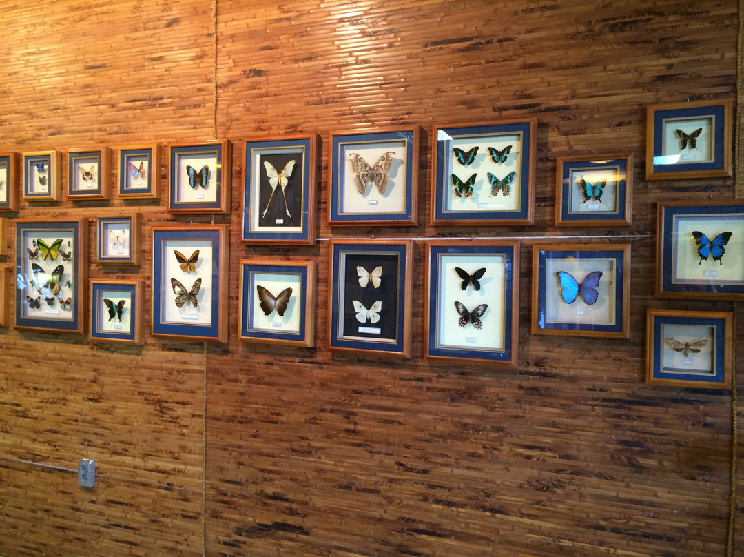 Butterfly Park-彼尔姆必去景点