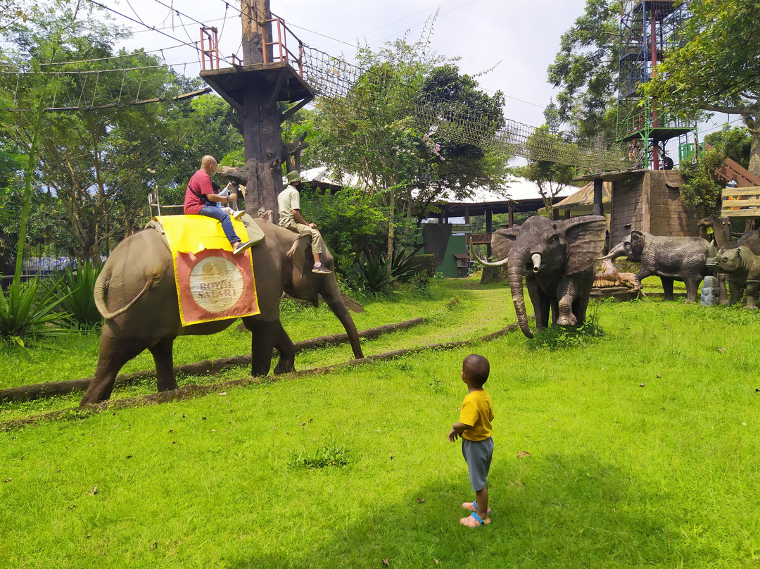 Royal Safari Garden Resort & Convention主图