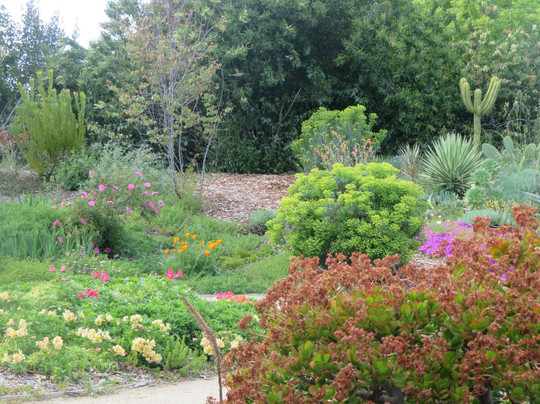 Quarry Lakes Regional Recreation Area-费利蒙必去景点