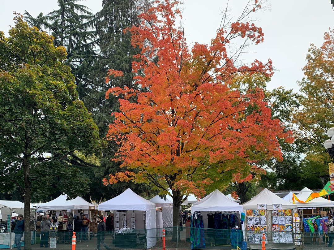 Eugene Saturday Market-尤金必去景点