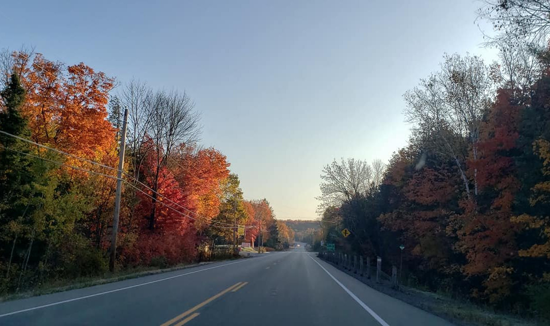Beaver Pond Trail-阿冈昆公园必去景点