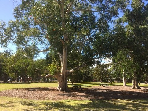 Thomas Street Reserve-Hampton必去景点