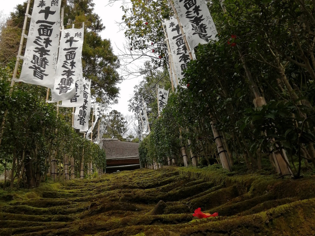 Stairs of Moss-镰仓市必去景点