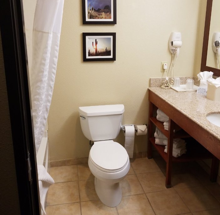 Best Western Plus Surprise-Phoenix NW-浴室