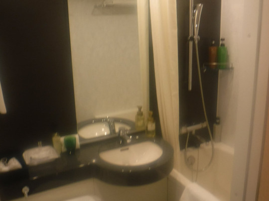 高崎大都会酒店主图