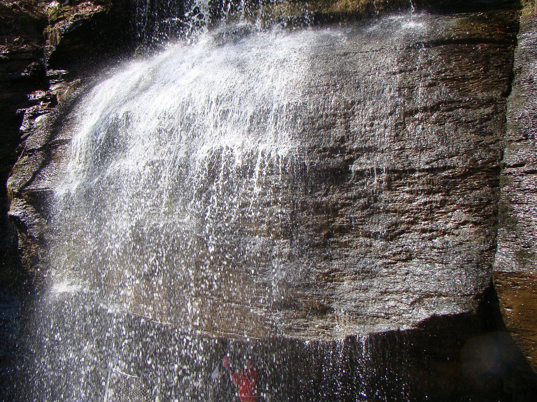 Buttermilk Falls Natural Area景点图片