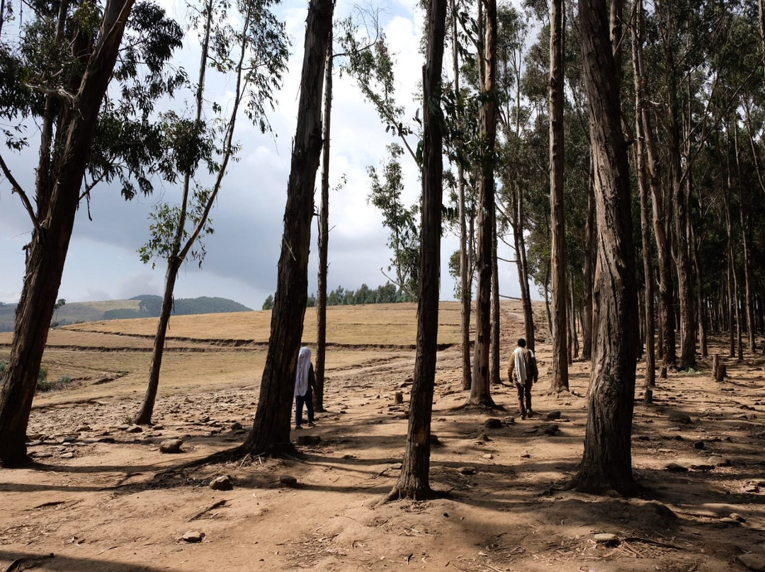 Awra Amba Tours-巴哈尔达尔必去景点