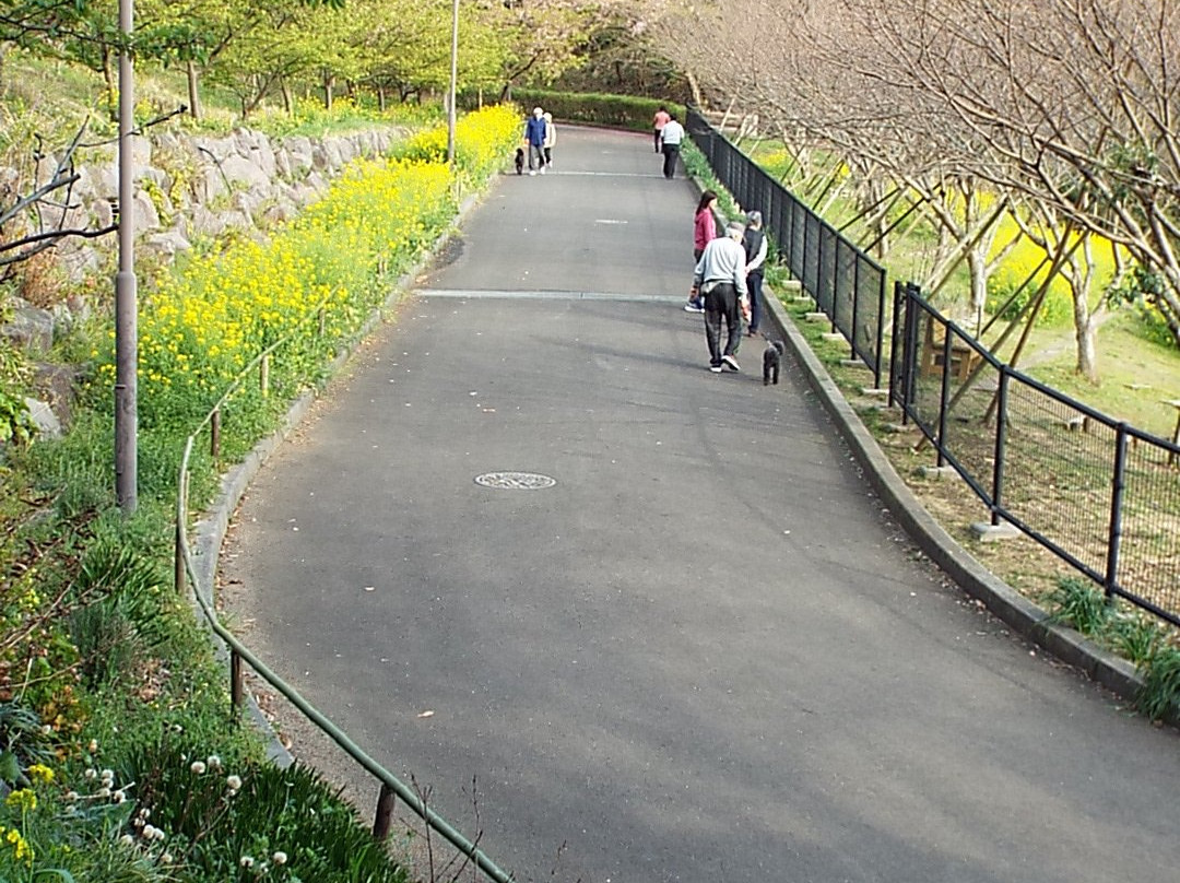 Oiso Sports Park-大矶町必去景点