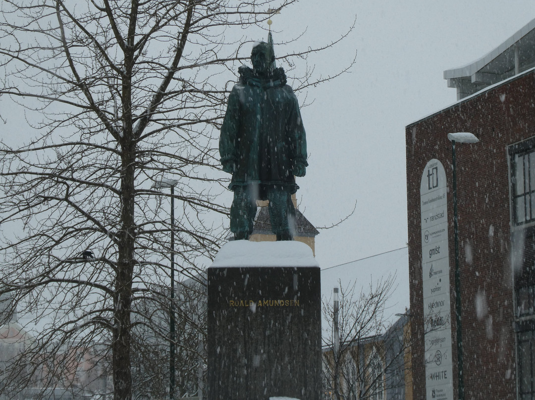 Roald Amundsen Monument景点图片