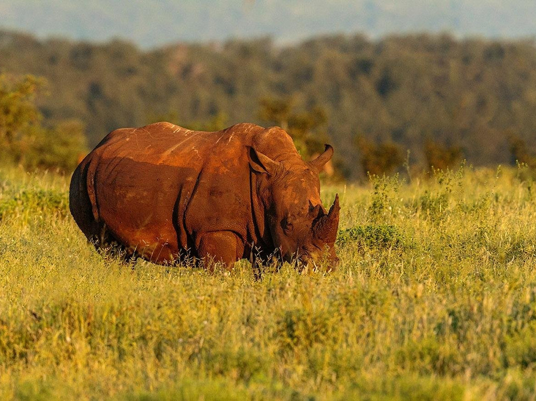 Tony Sparkes Wildlife and Photographic Safaris-霍德斯普鲁特必去景点
