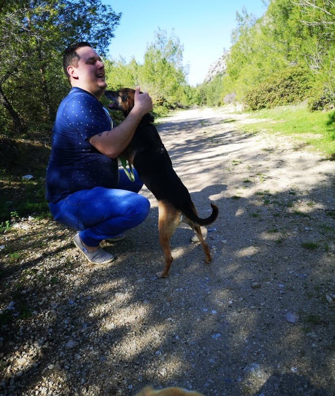 Kyrenia Animal Rescue-克利尼亚必去景点