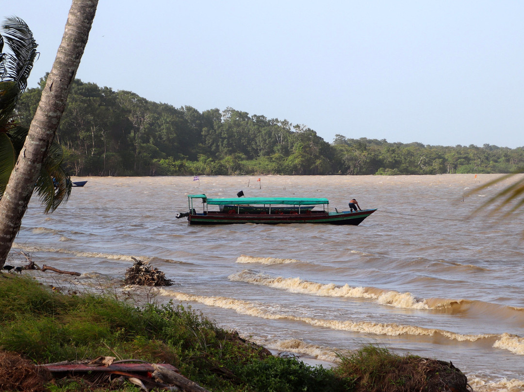 Marowijne River-Albina必去景点