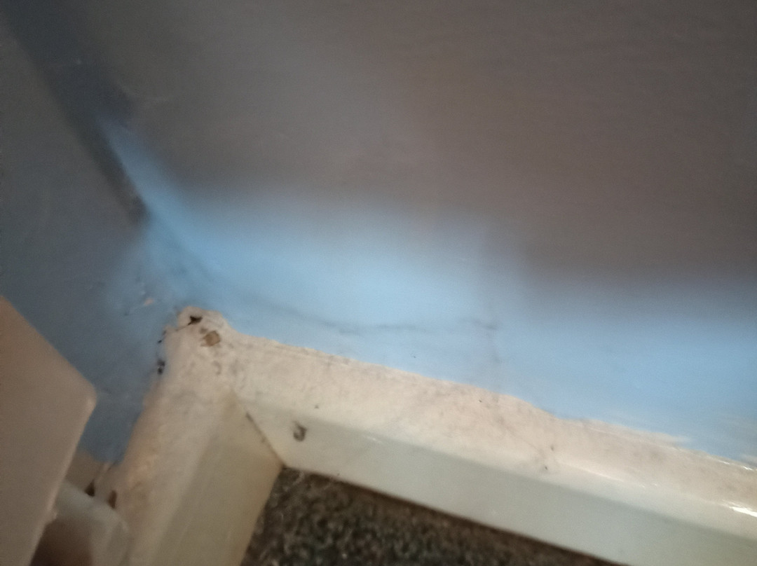 Hazelwood House主图