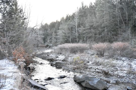 Spruceton Inn - a Catskills Bed and Bar-官方