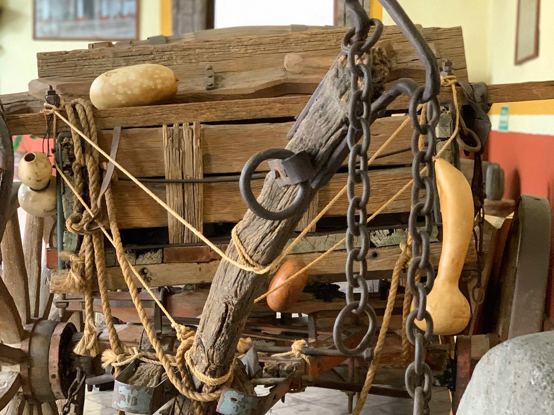 Museo Los Abuelos Familia Sauza-特基拉必去景点