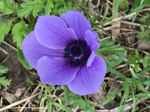 Megido Aviation - Tours-拿撒勒必去景点