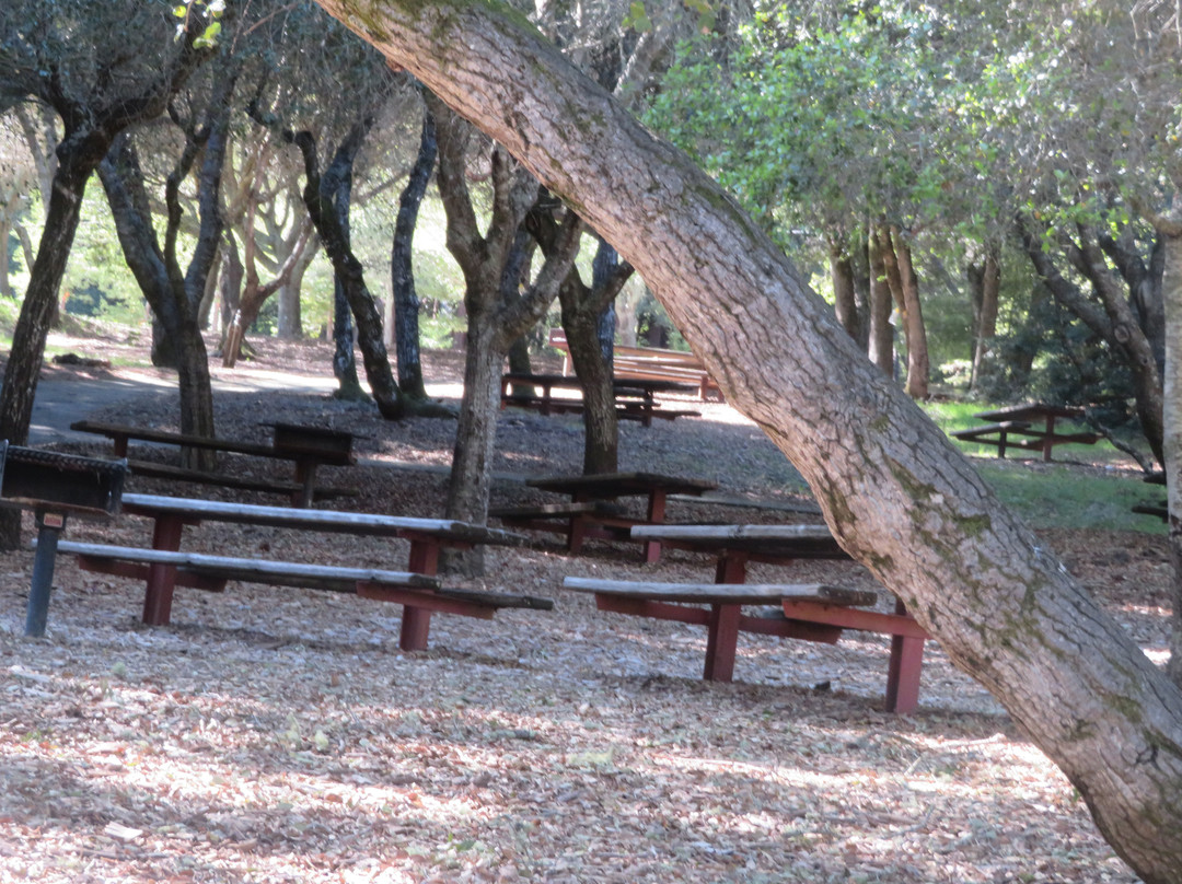 Huddart Park/Skyline Loop-Woodside必去景点