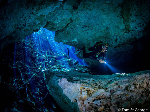 La Calypso Dive Center-图伦必去景点