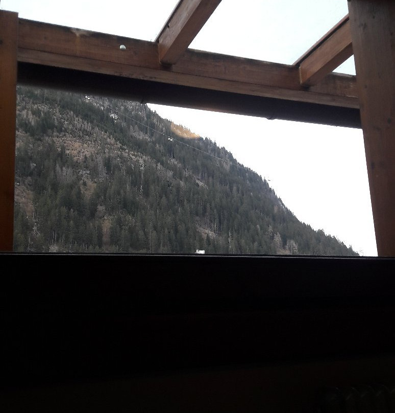 Pension Regina主图