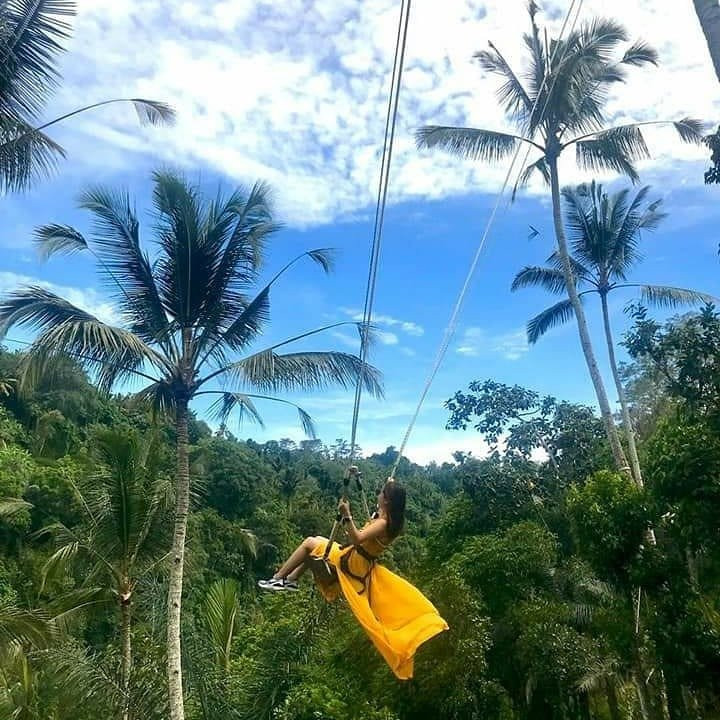 Jungle Swing Bali-佩艳艮必去景点