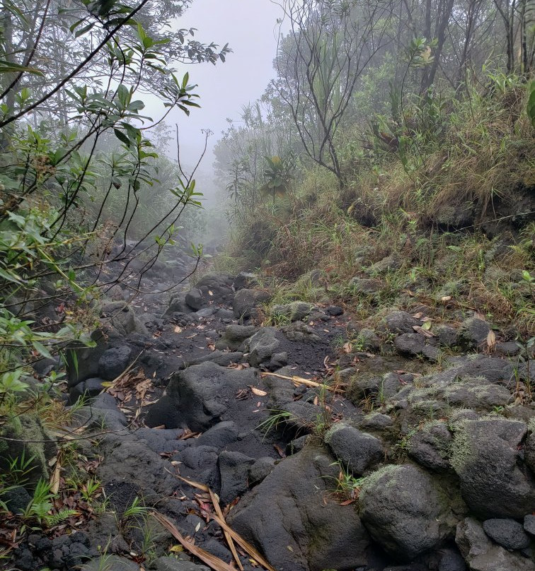 La Fortuna Arenal Volcano Rain Forest Reserve-福德圣卡洛斯必去景点