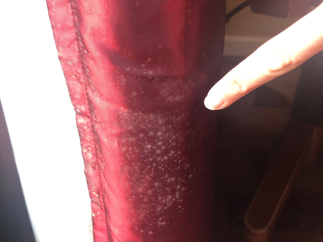 Ocean Inn & Suites主图