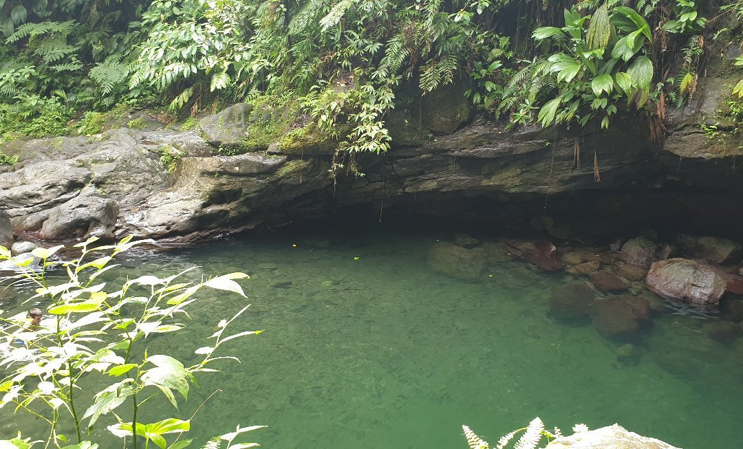 La Cascade Paradis景点图片