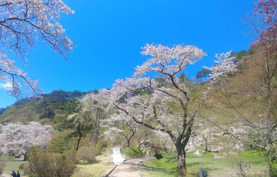 Kimimachizaka Park-能代市必去景点