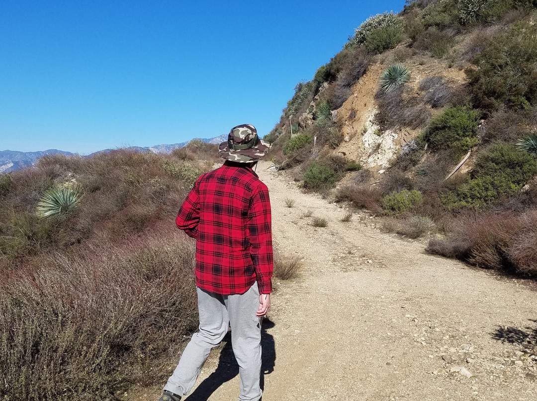 Glendora Mountain Road-Glendora必去景点