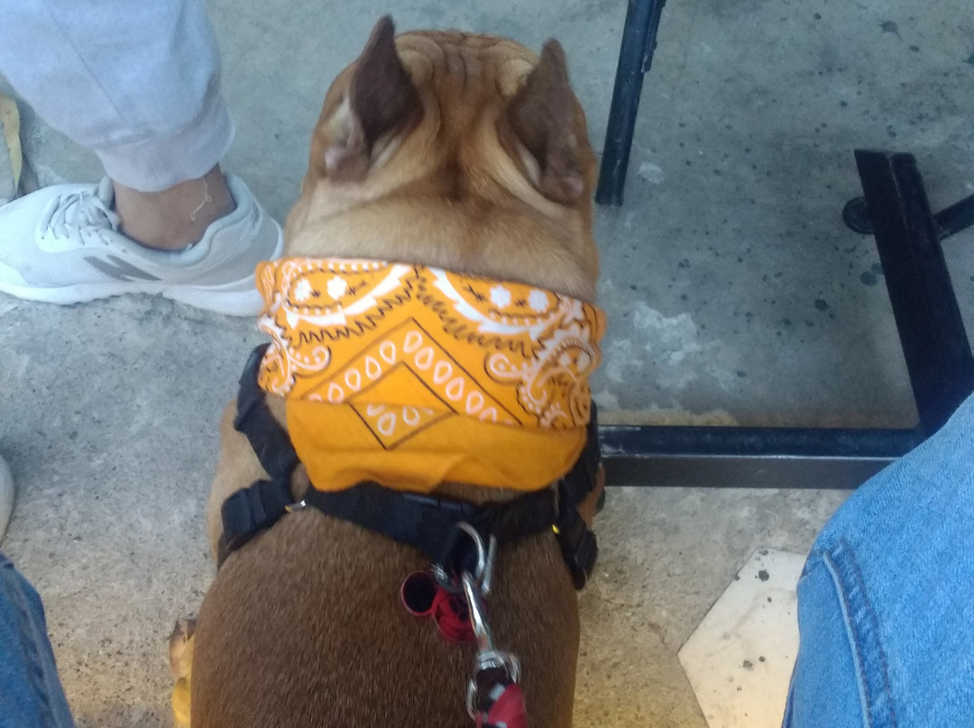 Carnales & Rivales主图