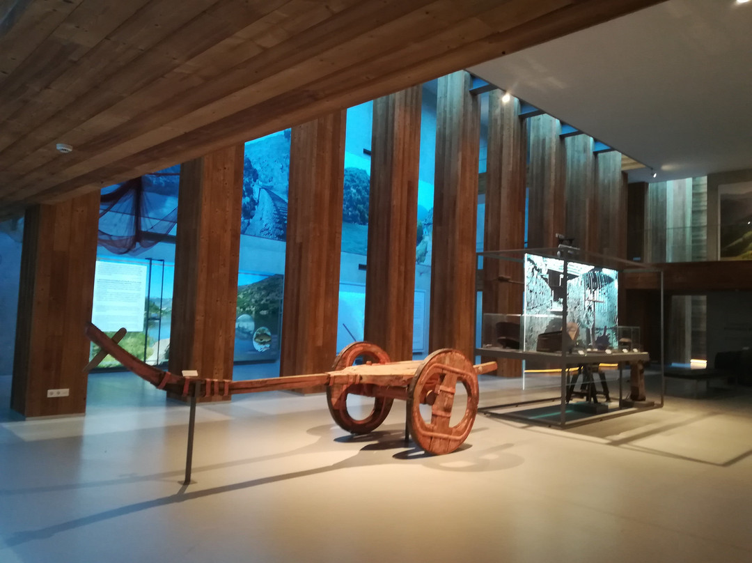 Museu do Vinho景点图片