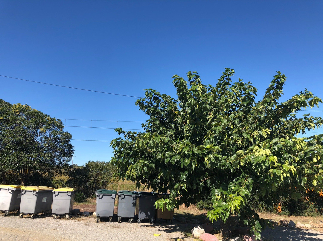 Hotel La Garenne主图