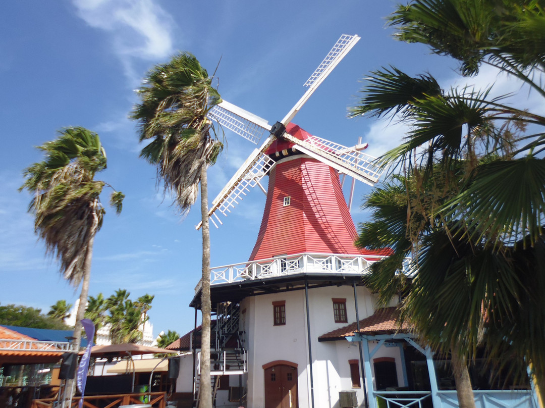 Old Dutch Windmill景点图片