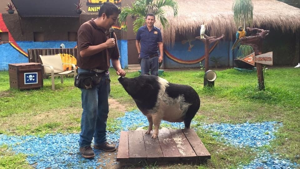 Bel Air Collection Resort & Spa Riviera Maya主图