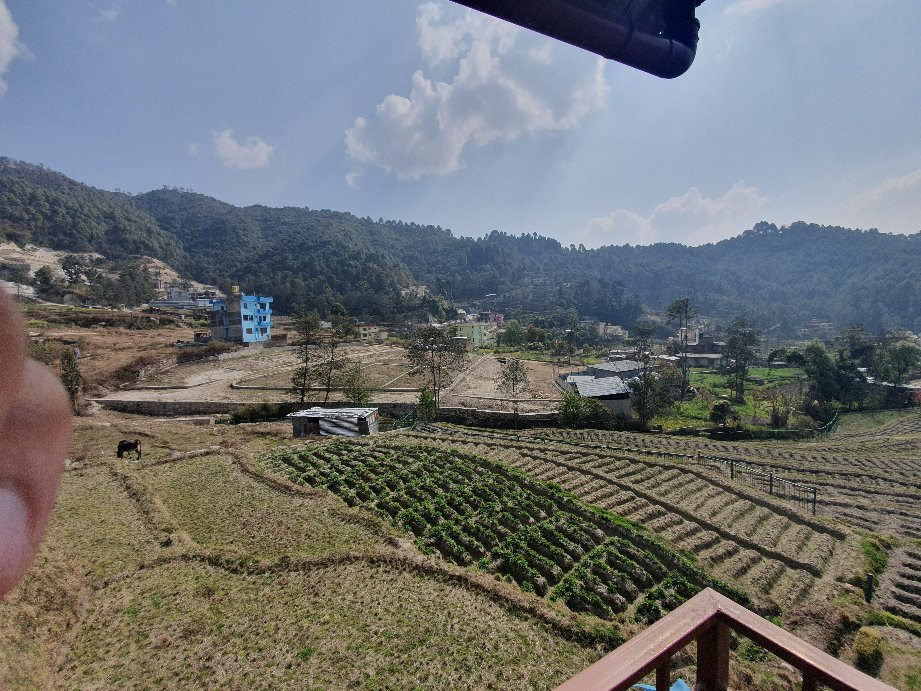 Laxmi's Bed And Breakfast主图