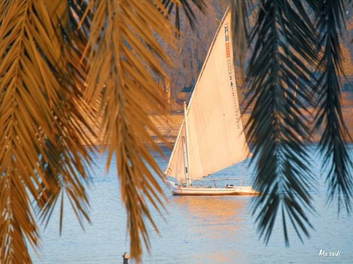 Tomb of Sennedjem-卢克索必去景点