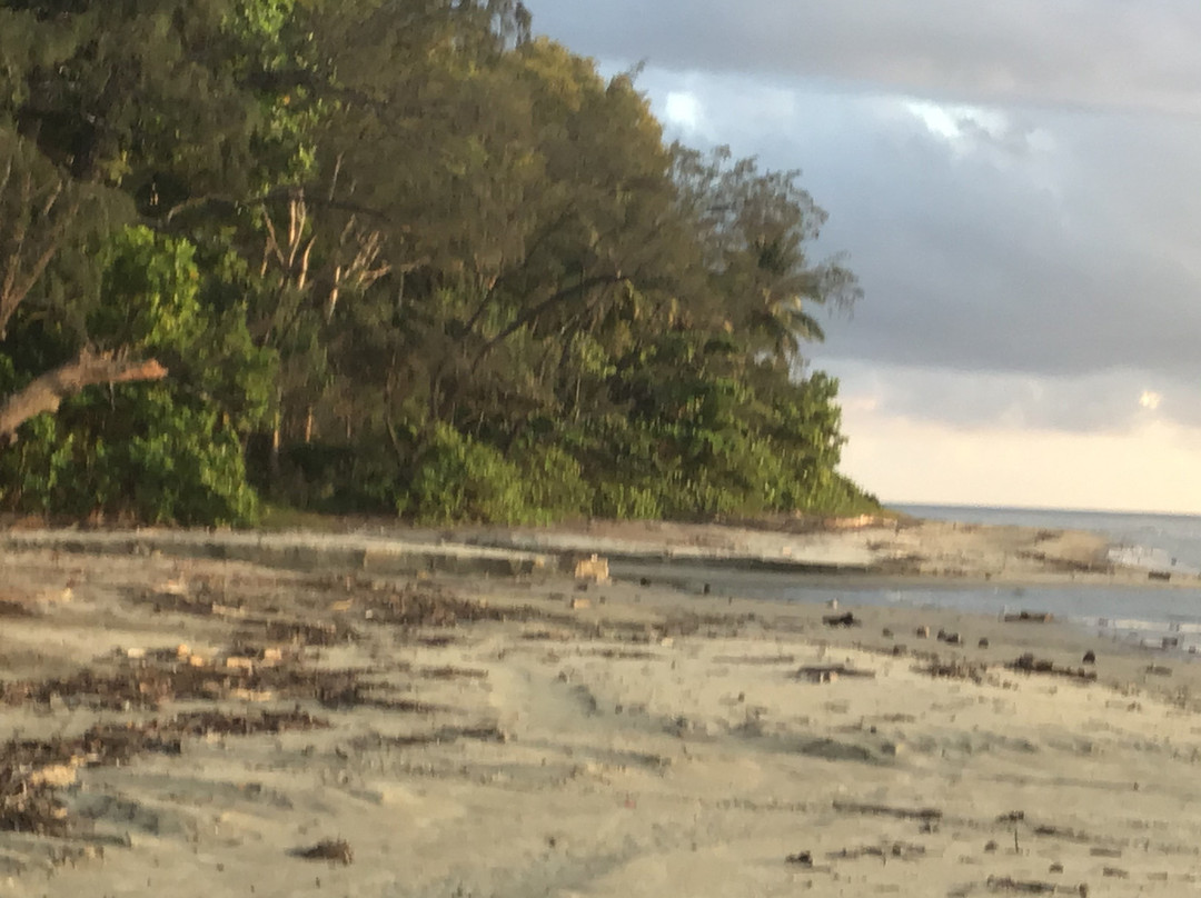 Thornton Beach Bungalows主图