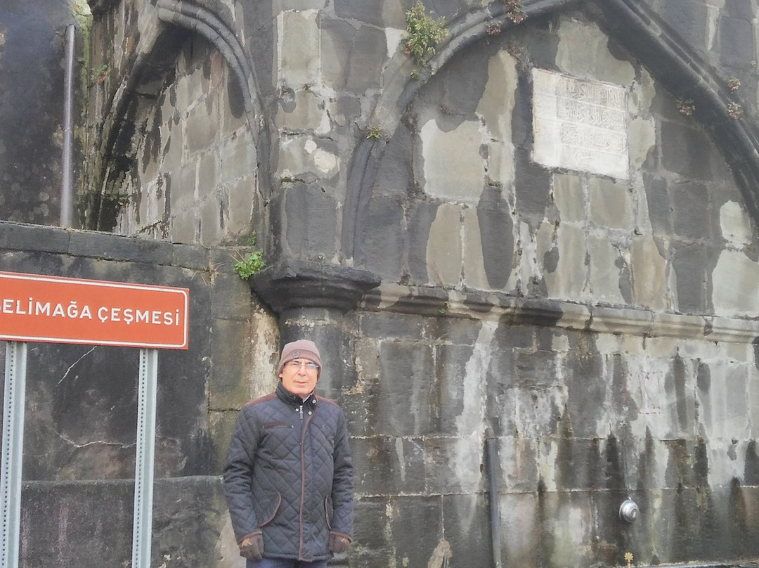 Giresun Sedef Otel主图