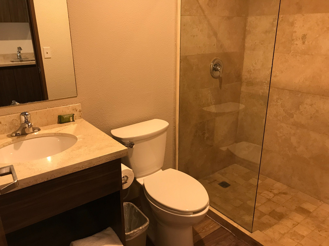 Extended Suites Merida Siglo XXI主图